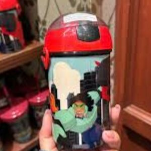 Disney Parks Pixar Big Hero 6 Kids Sipper Cup Bottle